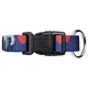 customized dog collars